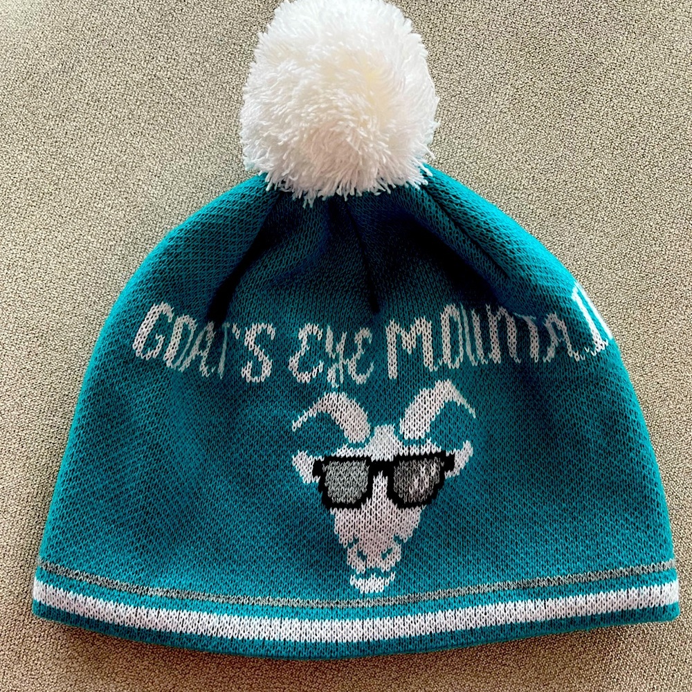 Teal Beanie with Pom Pom